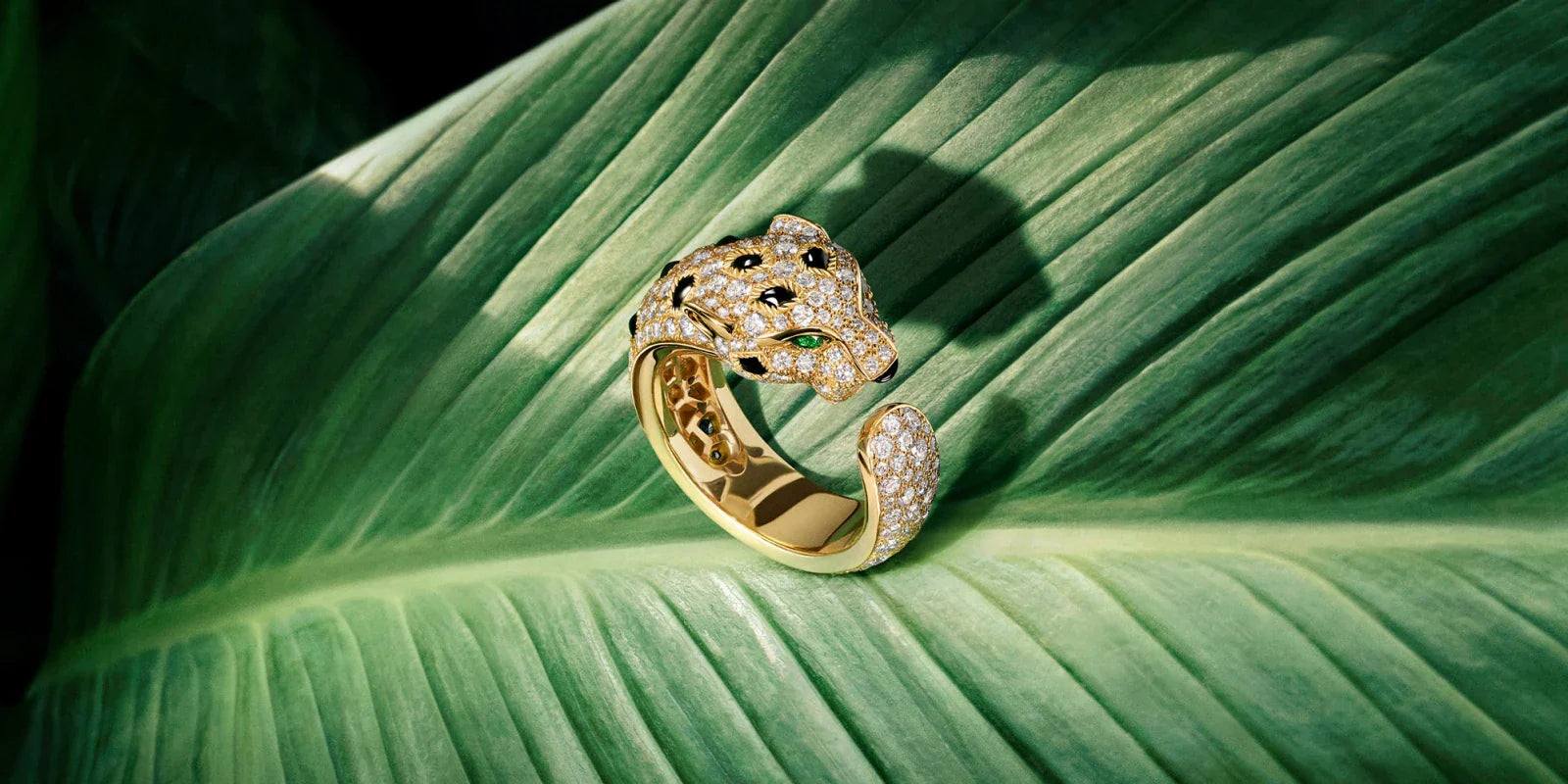 Accessories & Jewelry