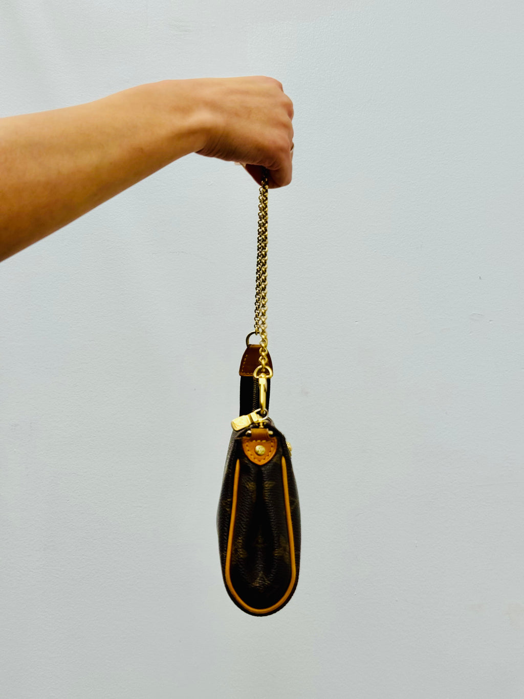 Louis Vuitton Monogram Eva Clutch