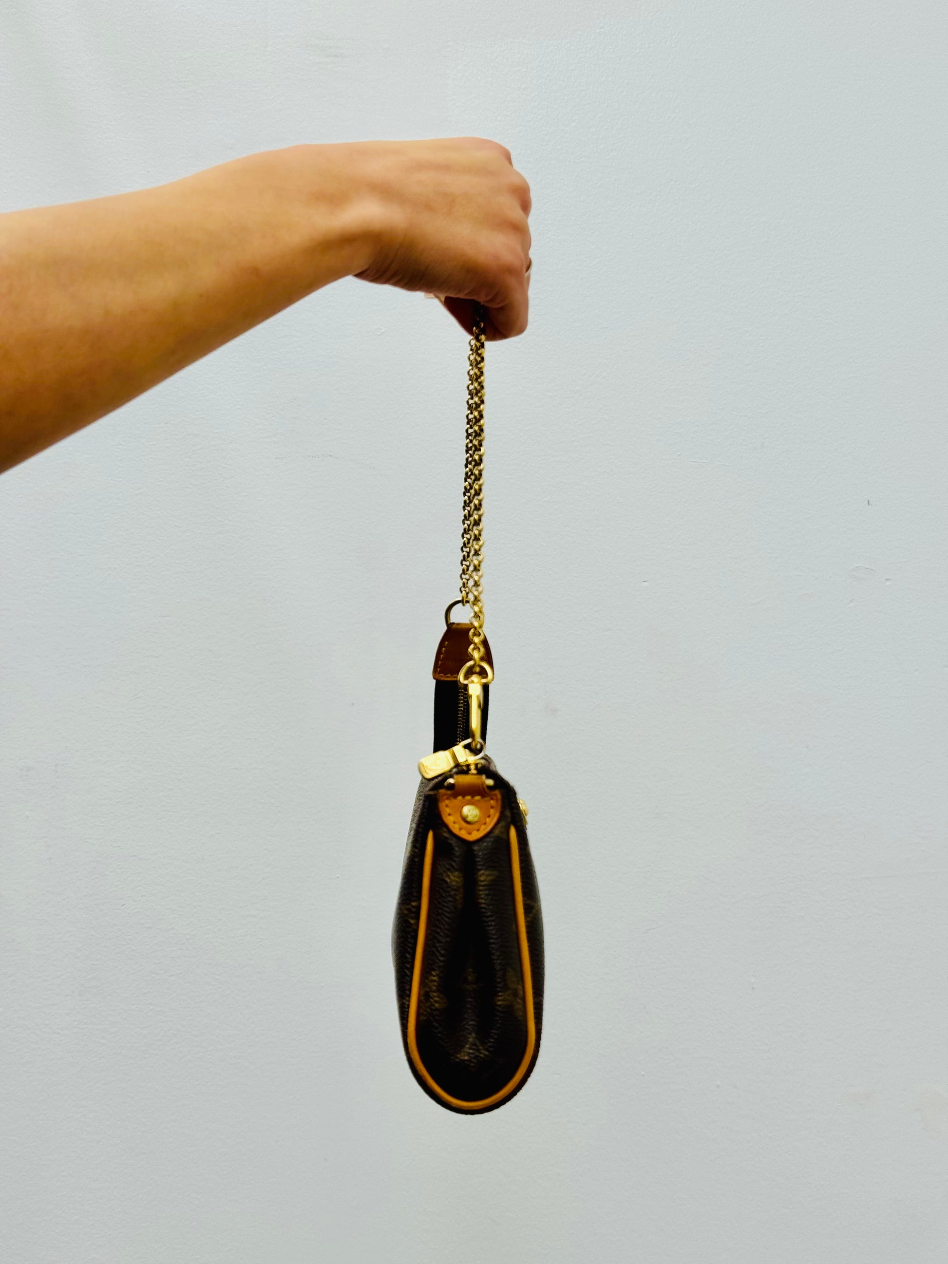 Louis Vuitton Monogram Eva Clutch