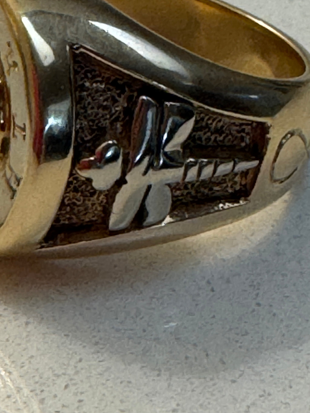 14K Gold Ammolite Dragonfly Signet Ring "For The Love Of It"