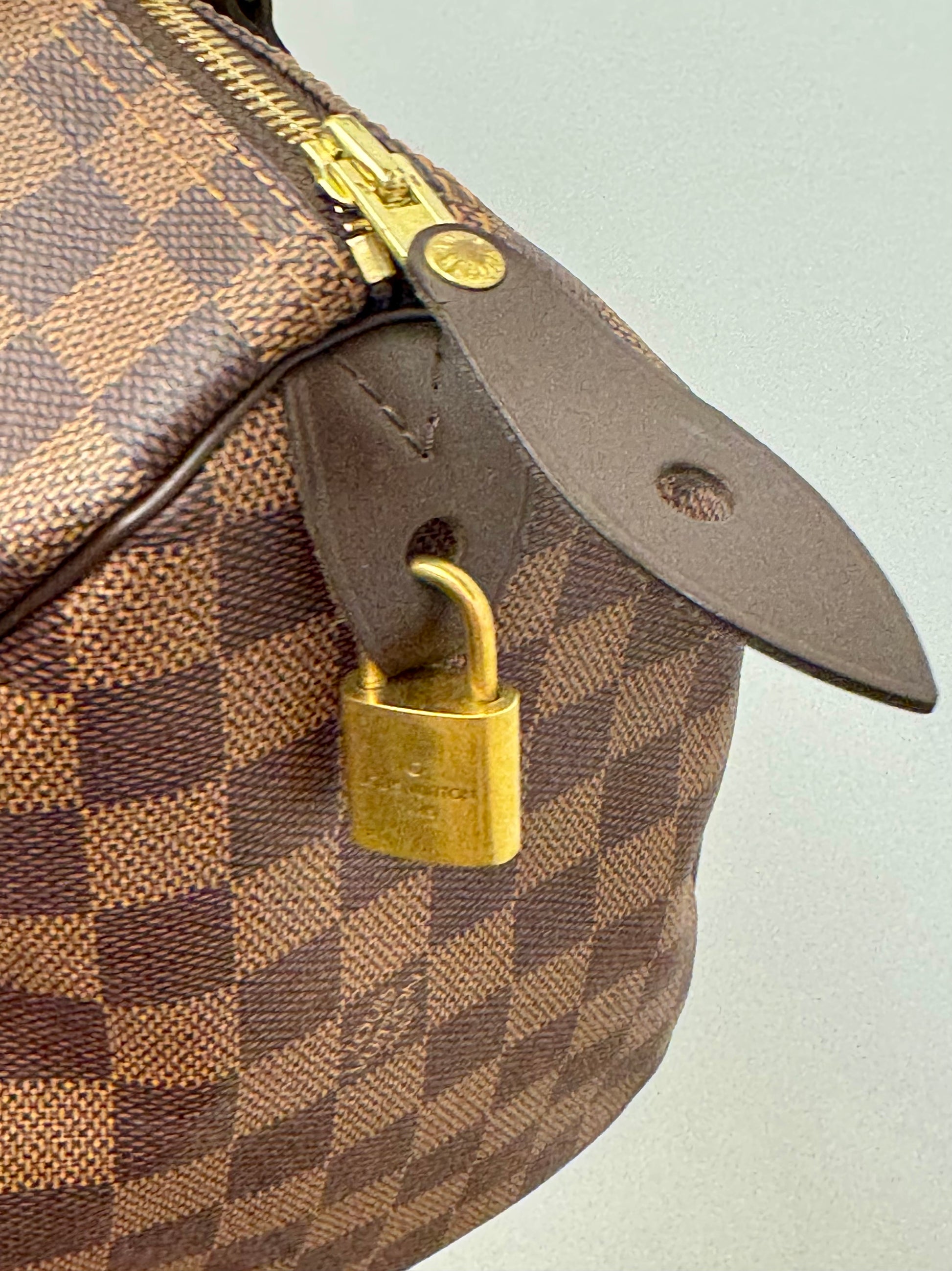 Louis Vuitton Speedy 35 in Damier Ebene Canvas