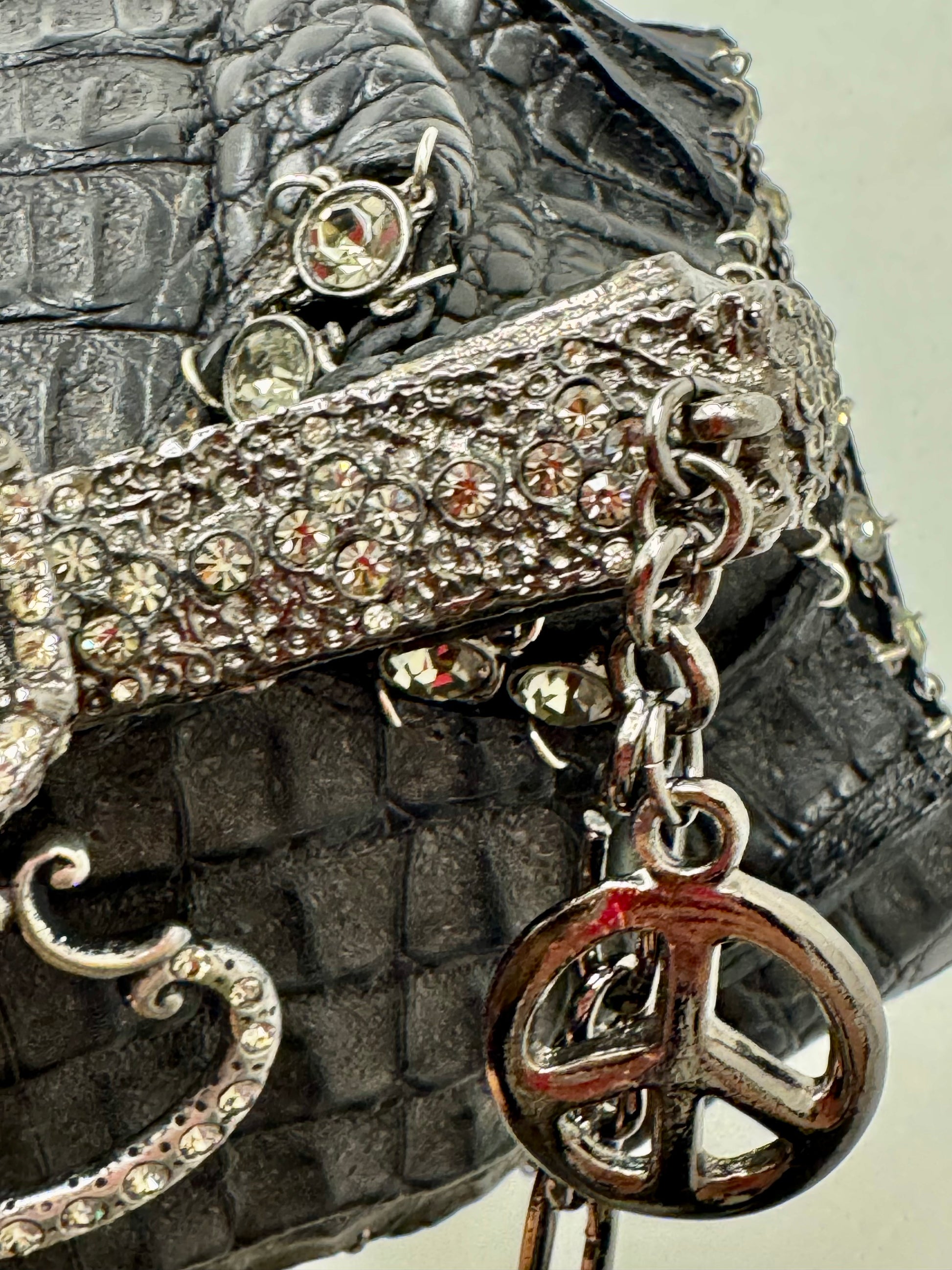 Clara Kasavina Crocodile Jewel Bag