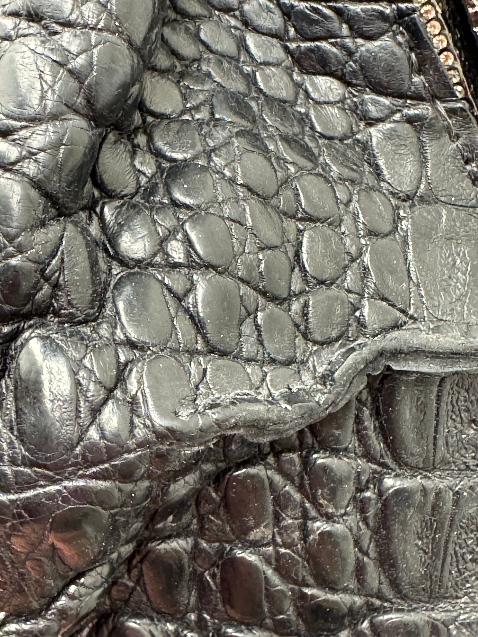 Clara Kasavina Crocodile Jewel Bag