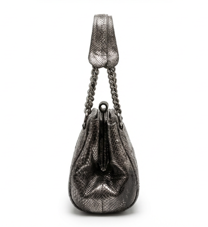 Chanel Metallic Silver Python CC Frame Bag