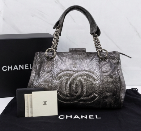 Chanel Metallic Silver Python CC Frame Bag