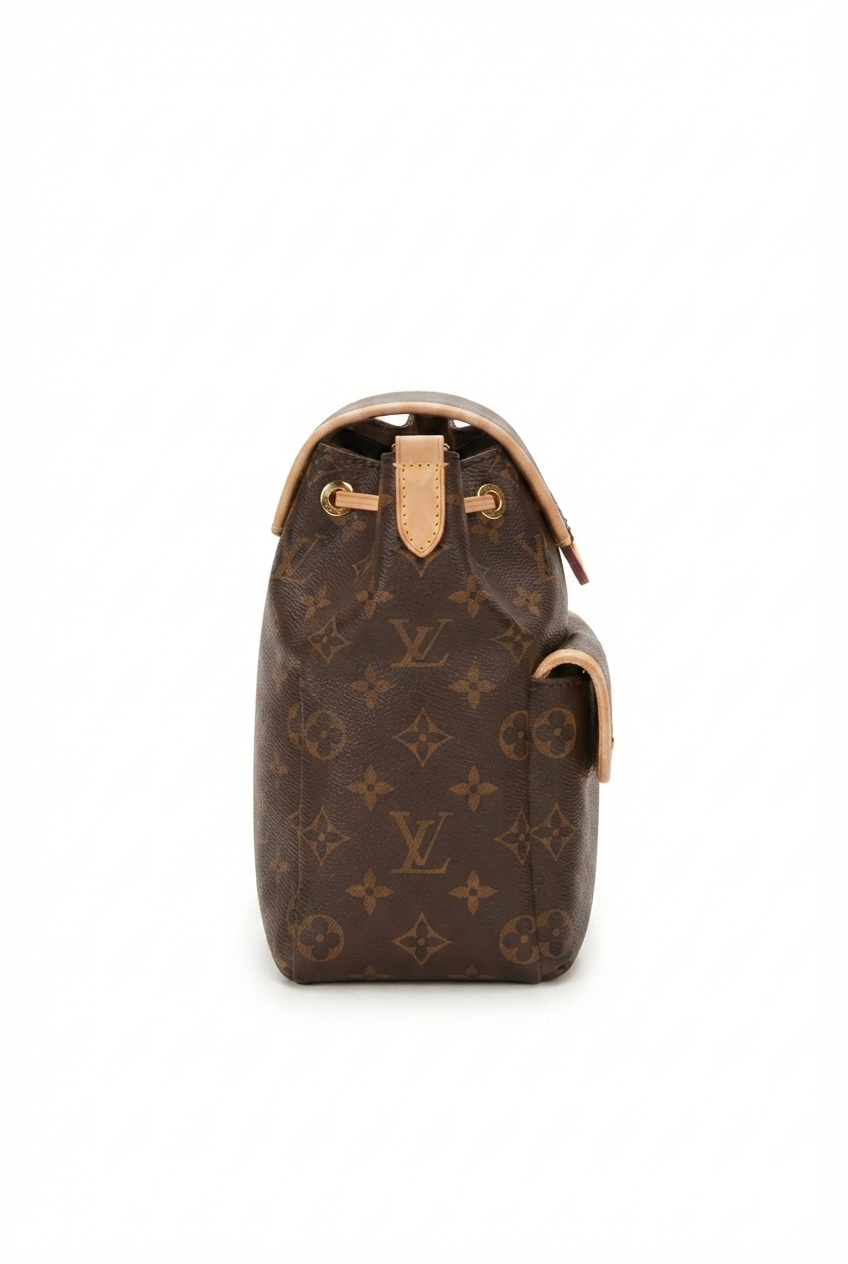 Louis Vuitton Monogram Canvas Montsouris Backpack (PM)