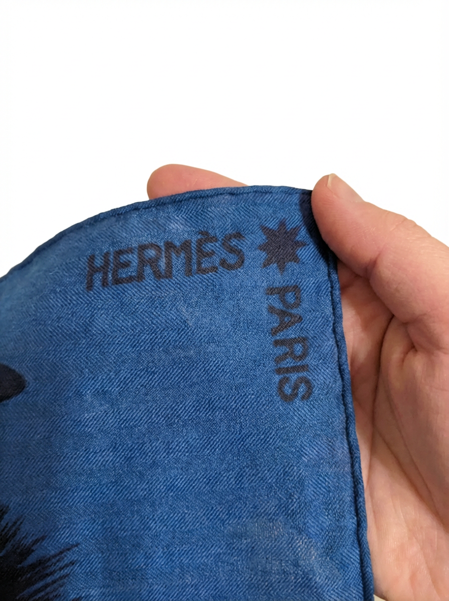 Hermès Zebra Pegasus 140 Shawl