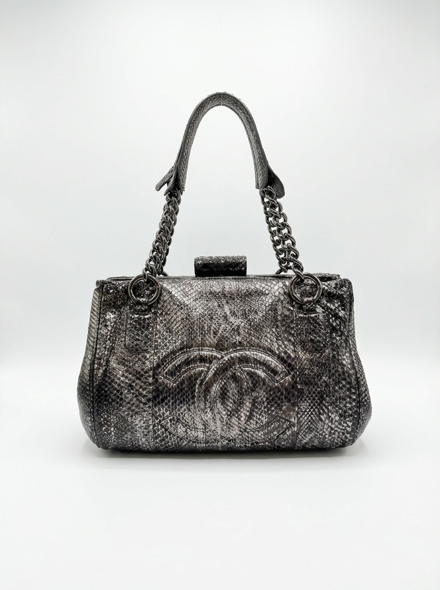 Chanel Metallic Silver Python CC Frame Bag